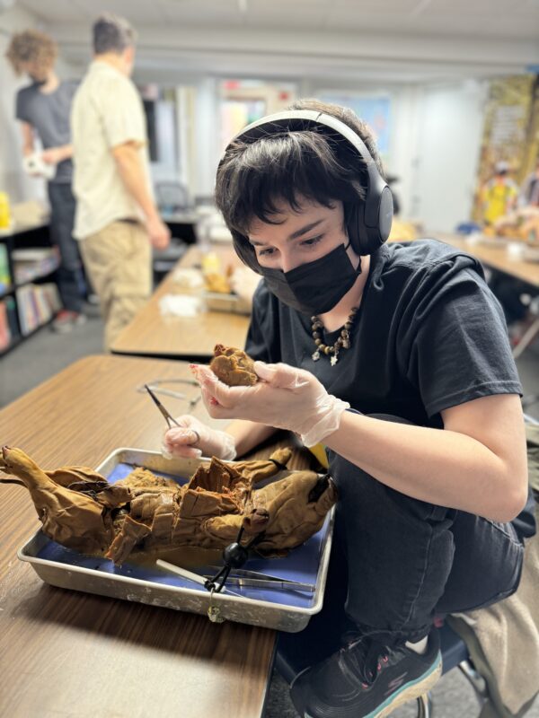 Madz dissecting a piglet